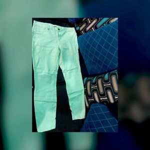 Mint refuge size 14 pants